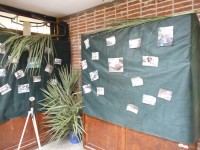 /album/fiesta-de-la-primavera/fiesta-primavera-2012-25-jpg/